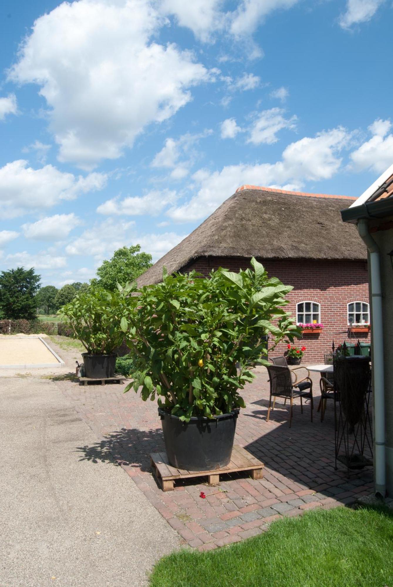 De Martiene Plats - Bed & Breakfast Merselo Экстерьер фото