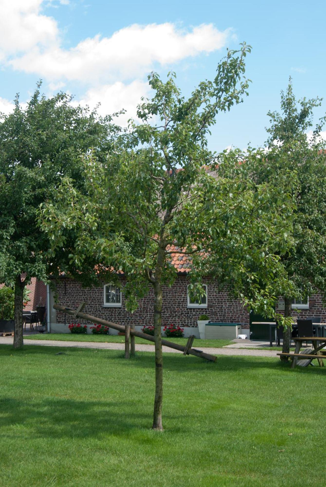 De Martiene Plats - Bed & Breakfast Merselo Экстерьер фото