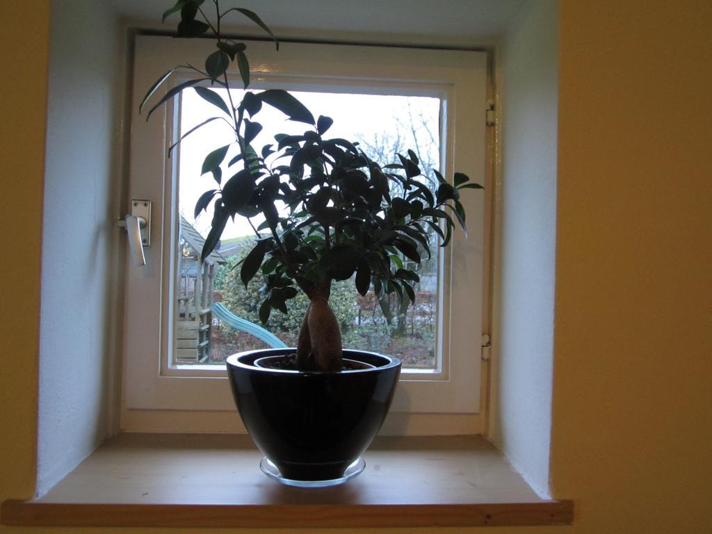 De Martiene Plats - Bed & Breakfast Merselo Номер фото